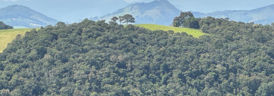 terreno-rural-de-72-000-m²-a-venda-na-regiao-da-cidade-de-corrego-do-bom-jesus-mg (12)