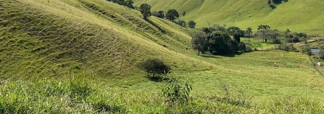 terreno-rural-de-72-000-m²-a-venda-na-regiao-da-cidade-de-corrego-do-bom-jesus-mg (16)