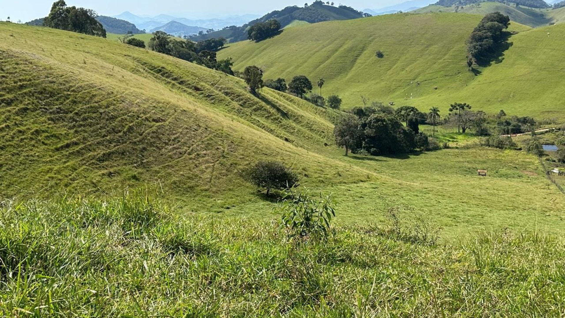 terreno-rural-de-72-000-m²-a-venda-na-regiao-da-cidade-de-corrego-do-bom-jesus-mg (16)