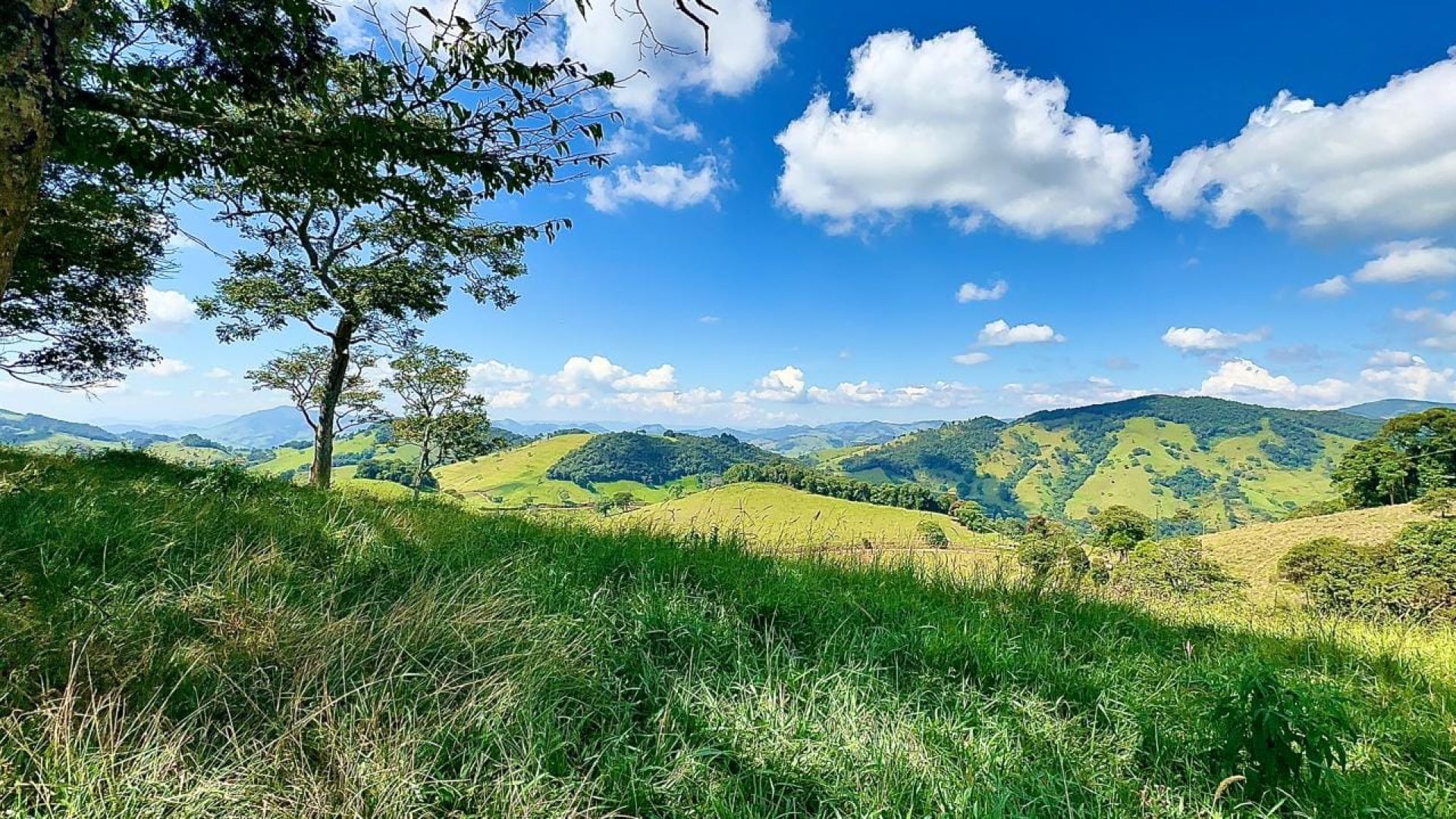 terreno-rural-de-72-000-m²-a-venda-na-regiao-da-cidade-de-corrego-do-bom-jesus-mg (6)