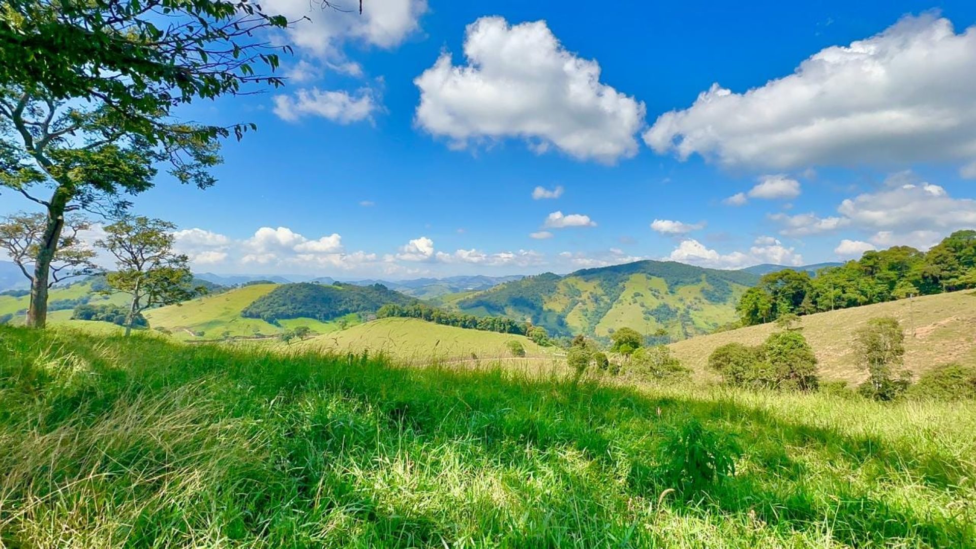 terreno-rural-de-72-000-m²-a-venda-na-regiao-da-cidade-de-corrego-do-bom-jesus-mg (7)