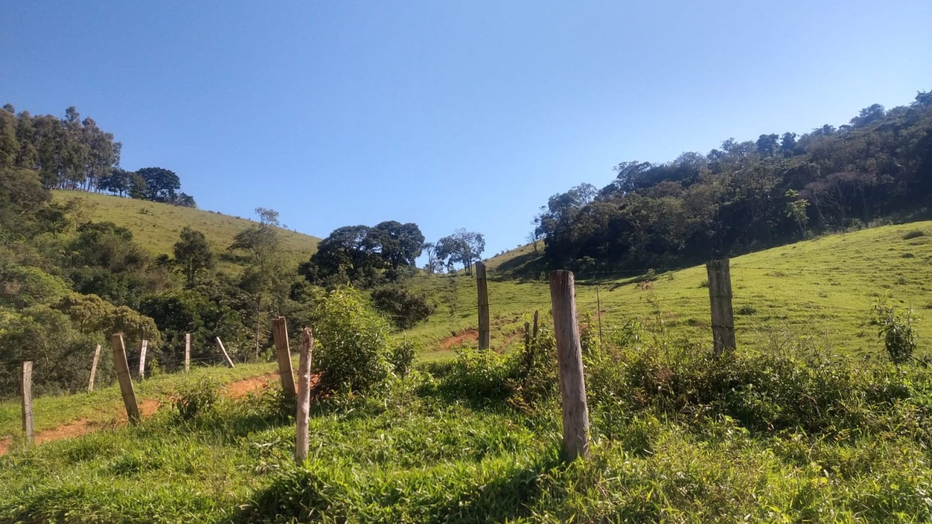 terreno-rural-de-96-000-m²-a-venda-na-regiao-da-cidade-de-cambui-no-sul-de-minas (4)