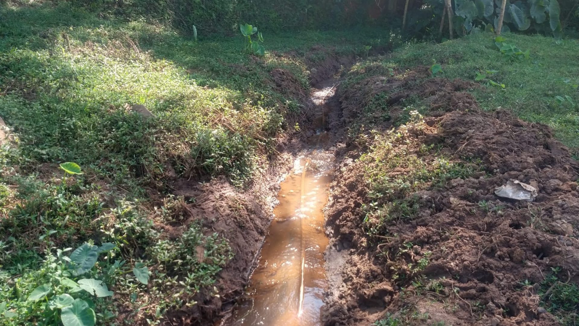 terreno-rural-de-96-000-m²-a-venda-na-regiao-da-cidade-de-cambui-no-sul-de-minas (9)