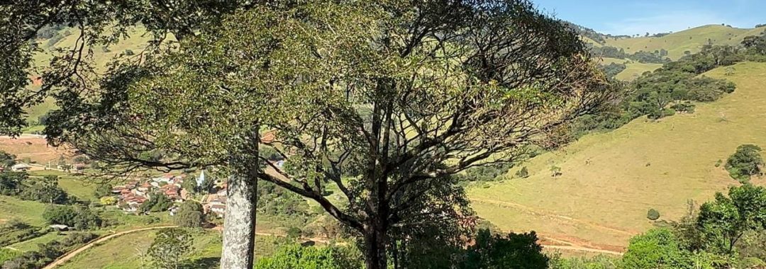 terreno-rural-na-regiao-de-paraisopolis-e-goncalves-mg (16)