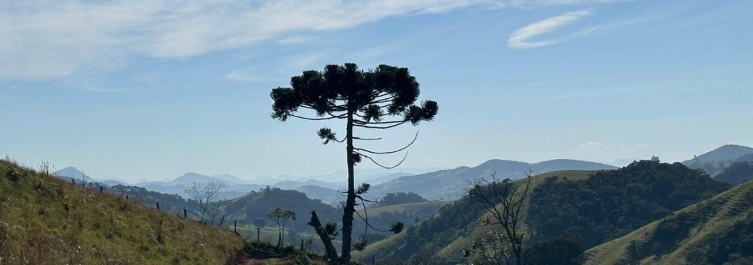 terreno-rural-na-regiao-de-paraisopolis-e-goncalves-mg (17)