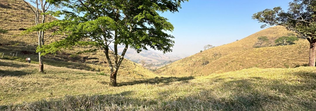terreno-rural-no-caminho-da-fe-24-669m²-regiao-de-cambui-no-sul-de-minas (10)