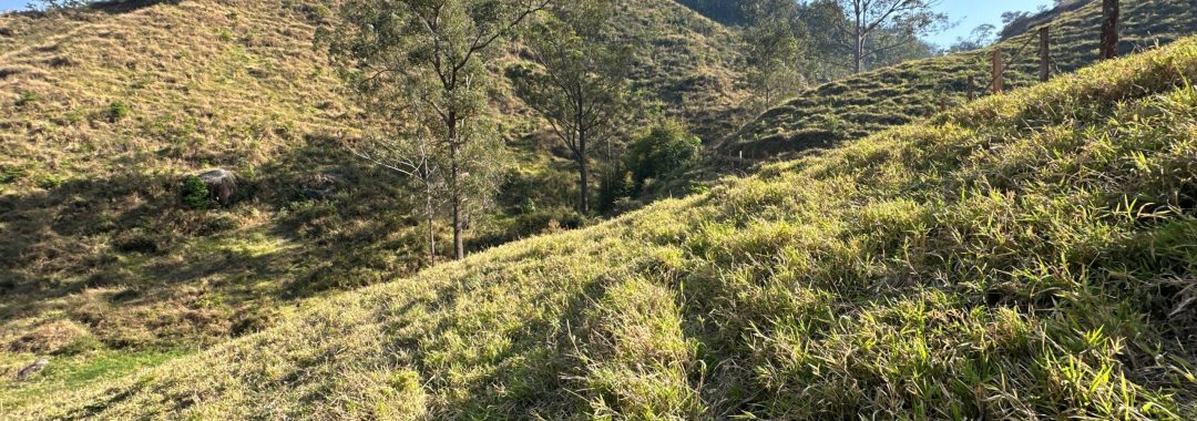 terreno-rural-no-caminho-da-fe-24-669m²-regiao-de-cambui-no-sul-de-minas (13)