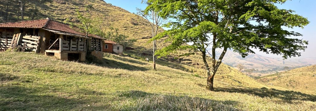 terreno-rural-no-caminho-da-fe-24-669m²-regiao-de-cambui-no-sul-de-minas (16)