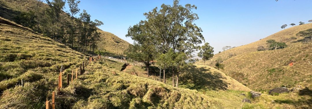 terreno-rural-no-caminho-da-fe-24-669m²-regiao-de-cambui-no-sul-de-minas (19)