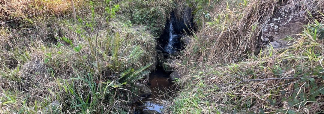 terreno-rural-no-caminho-da-fe-24-669m²-regiao-de-cambui-no-sul-de-minas (20)