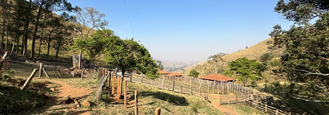 terreno-rural-no-caminho-da-fe-24-669m²-regiao-de-cambui-no-sul-de-minas (21)