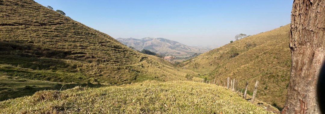 terreno-rural-no-caminho-da-fe-24-669m²-regiao-de-cambui-no-sul-de-minas (3)