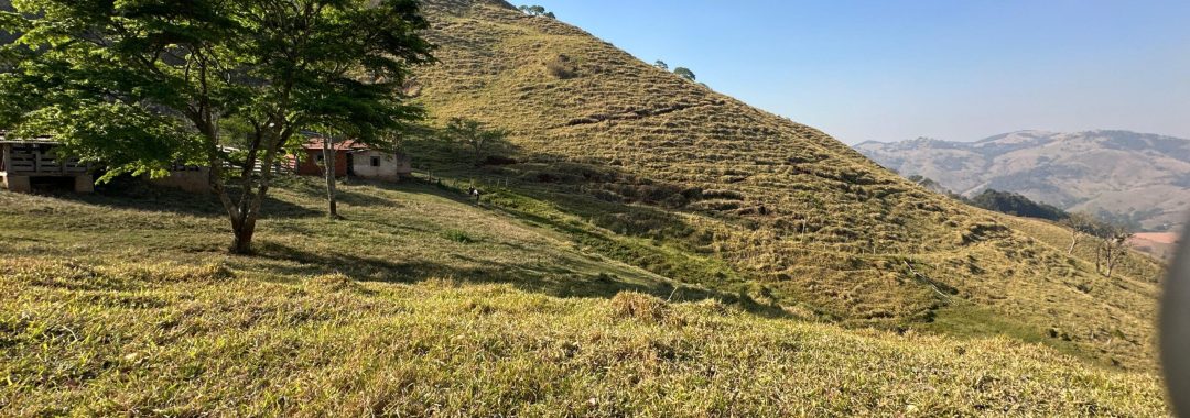 terreno-rural-no-caminho-da-fe-24-669m²-regiao-de-cambui-no-sul-de-minas (4)