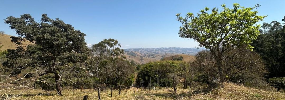 terreno-rural-para-cabana-na-montanha-a-venda-em-corrego-do-bom-jesus-mg (12)