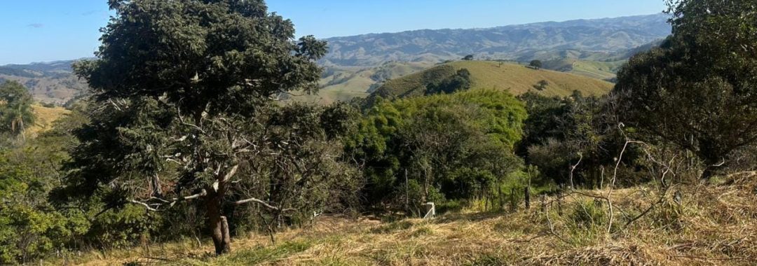 terreno-rural-para-cabana-na-montanha-a-venda-em-corrego-do-bom-jesus-mg (2)