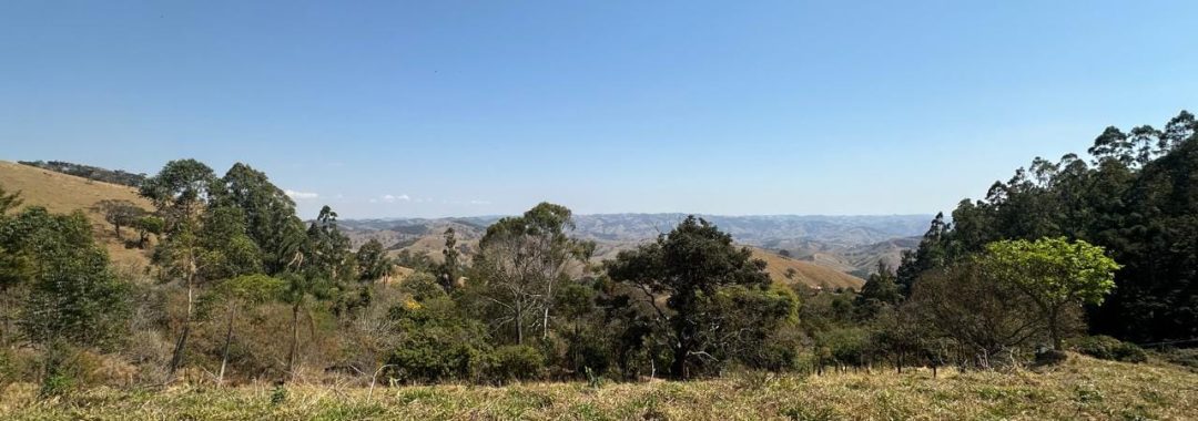 terreno-rural-para-cabana-na-montanha-a-venda-em-corrego-do-bom-jesus-mg (9)
