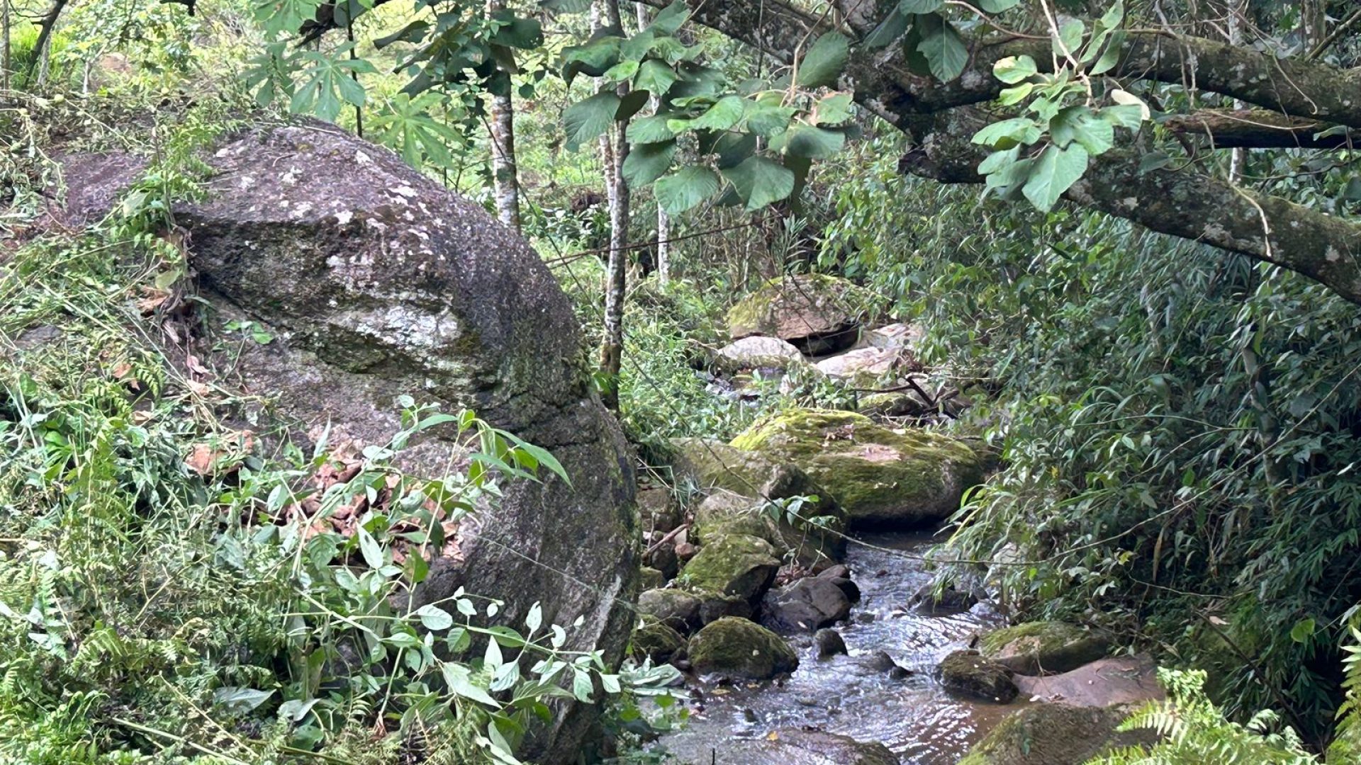 terreno-rural-para-pousada-com-corredeira-de-cachoeira-em-corrego-do-bom-jesus-sul-de-minas-venda-silvacorretorcambui- (5)