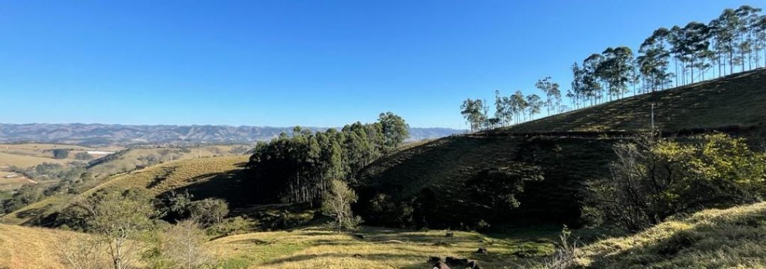 terreno rural, venda, Córrego do Bom Jesus, Sul de MG, vista panorâmica, chácara, sítio, rede de energia elétrica, (9)