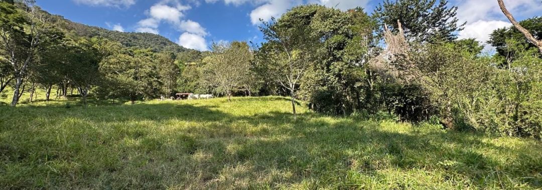 terrenos rurais, terrenos rurais a venda, terrenos para venda em córrego do bom jesus mg, terrenos rurais no sul de minas, terrenos para vender em corrego do bom jesus mg, imob